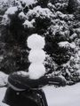 2008-12-21 49 -123 snowman.jpg