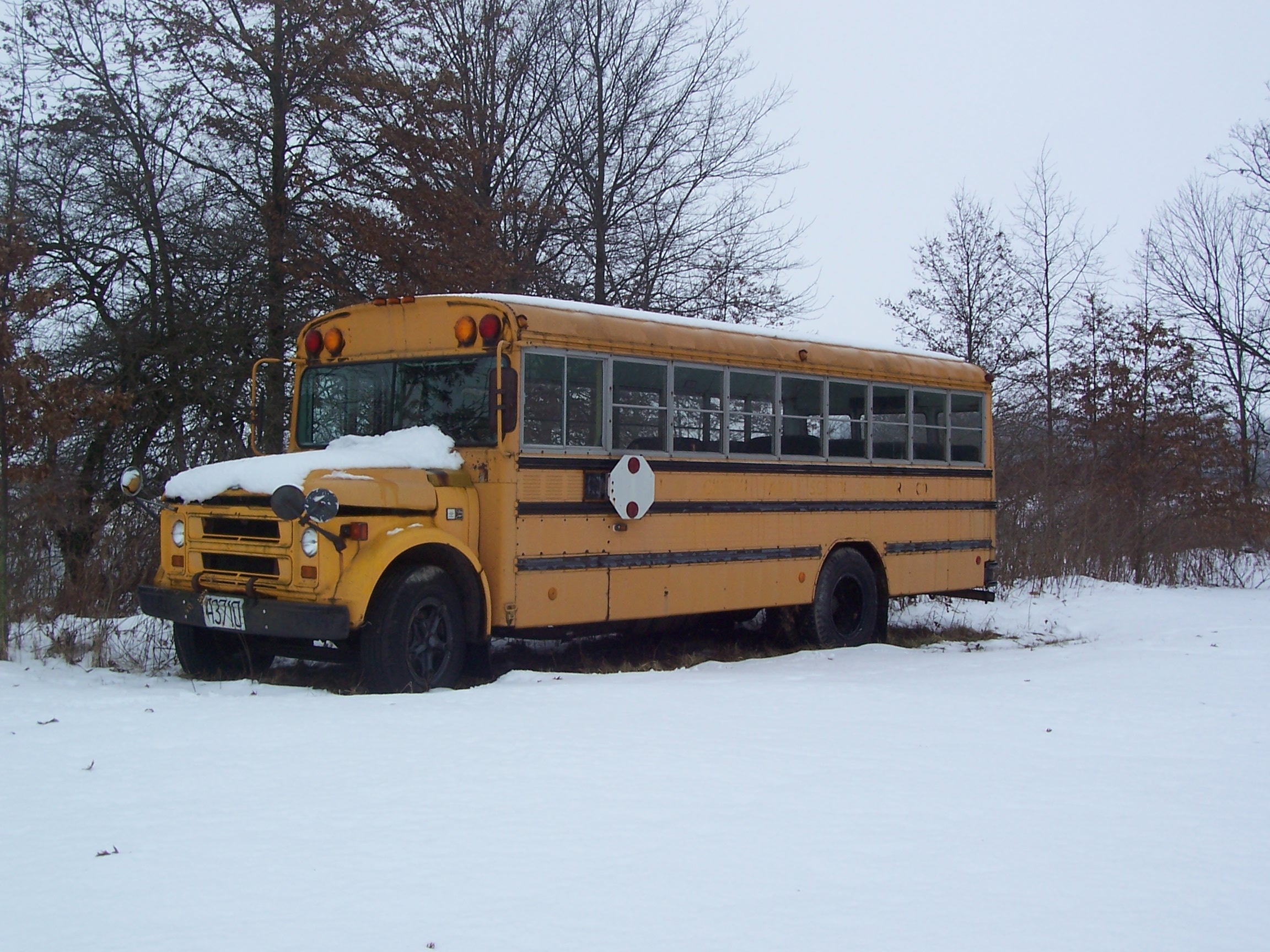 Random school bus in the yard