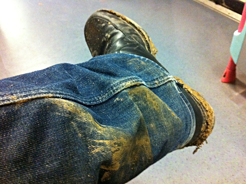 File:2012 02 29 49 8 alech dirty trousers.jpg