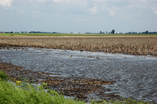 File:2008-06-07 40 -88 flooded field.jpg