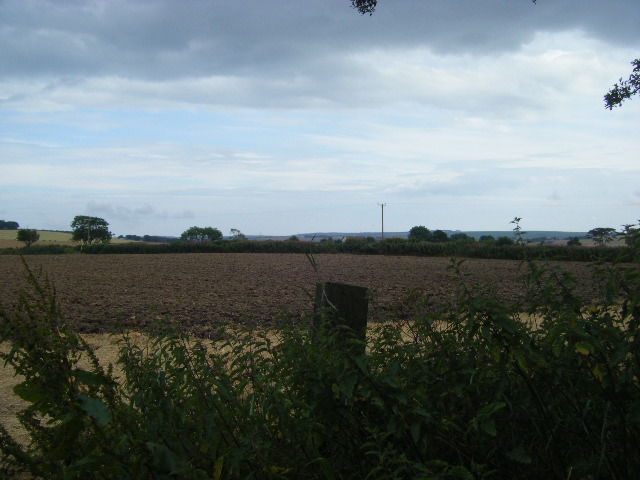 File:2009-08-09 57 -2 Field.jpg