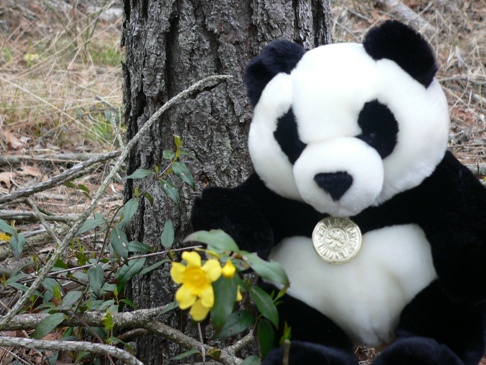 File:Apr 11 Flower Bear 022.jpg