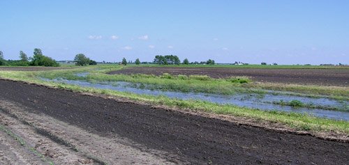 File:2008-06-08 40 -88 flooded ditch.jpg