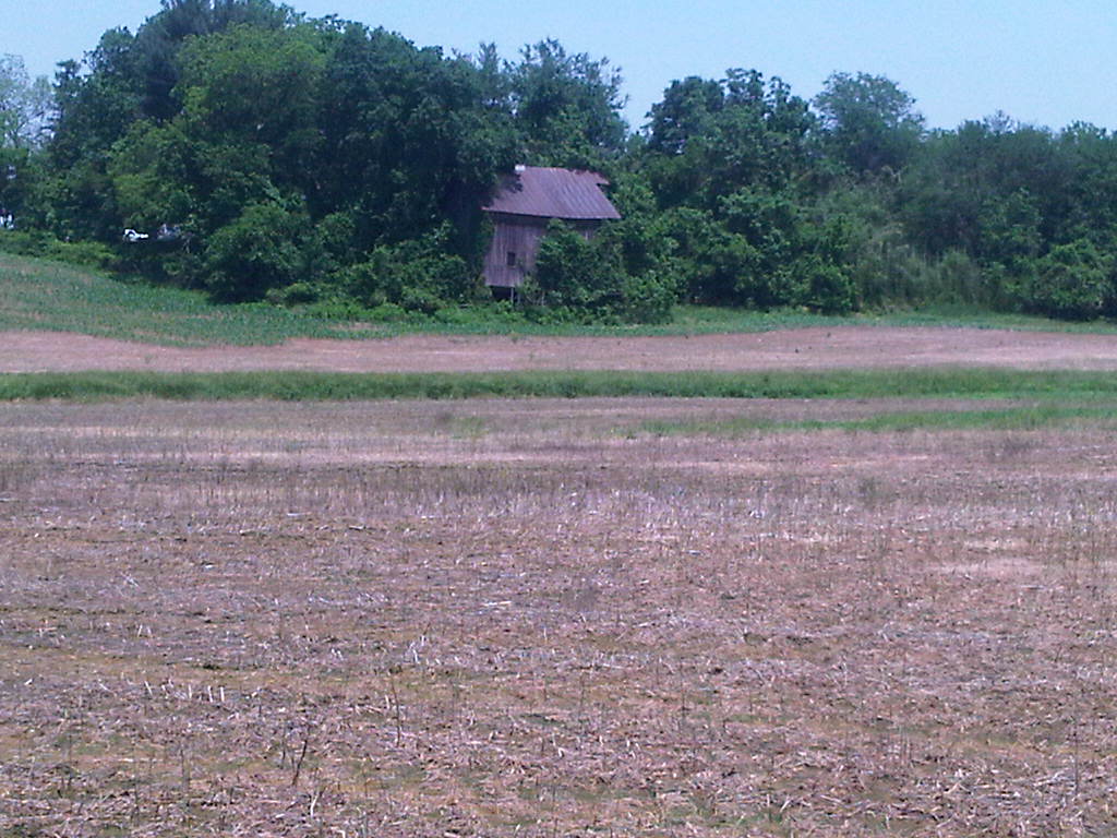 Old farm house with tin roof, probably abandoned (we didn't check)