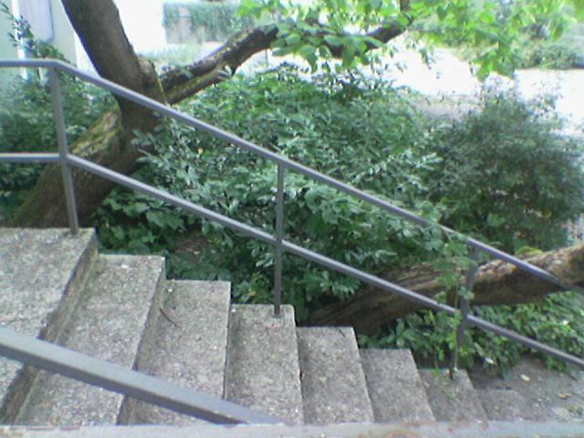 File:2009-08-25 48 11 stairs.jpg