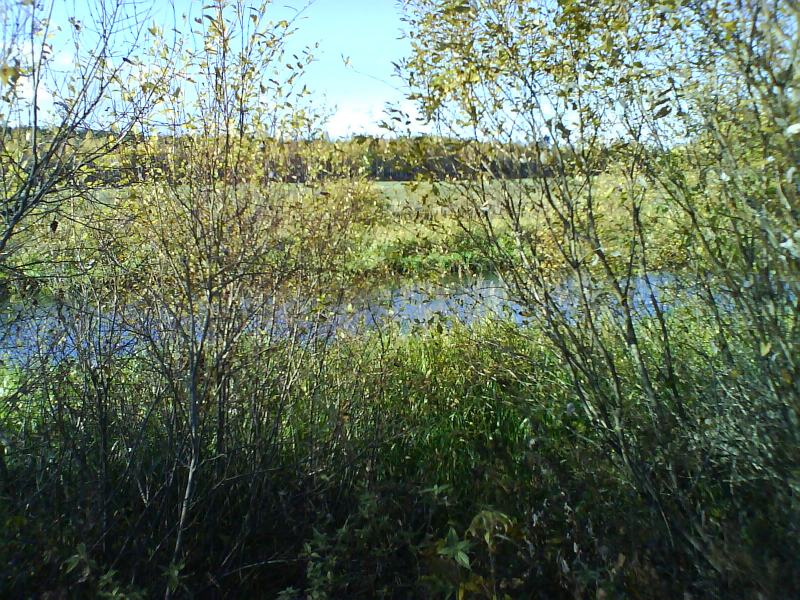 File:2010-10-10 60-24 river.jpg