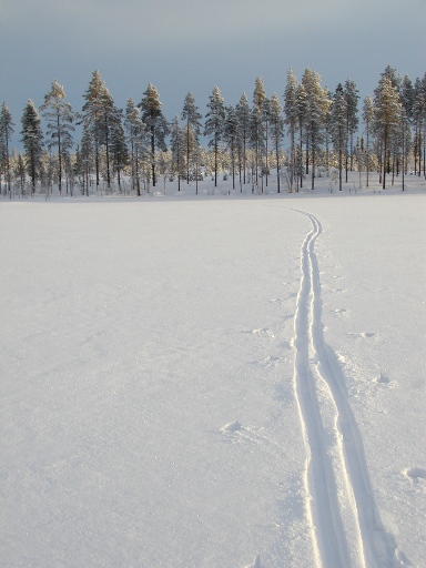 File:2009-01-31 66 21 my tracks.jpg