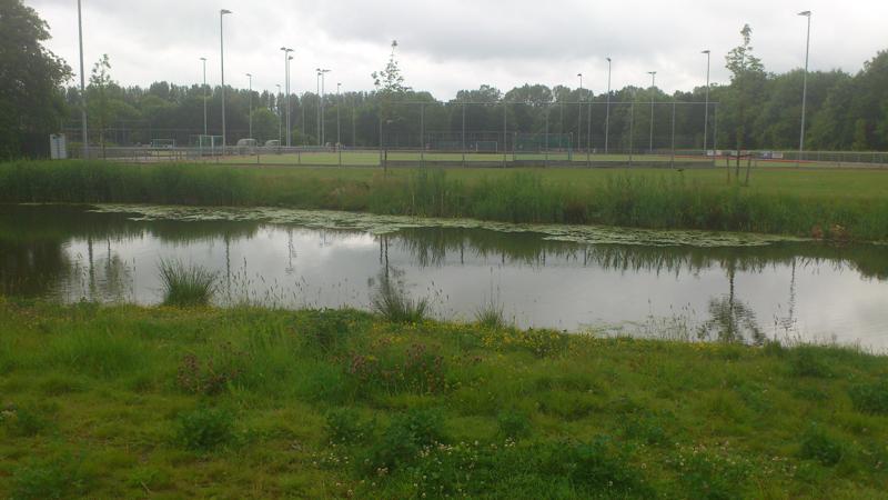 File:2012-06-03 52 4 alphen4.jpg