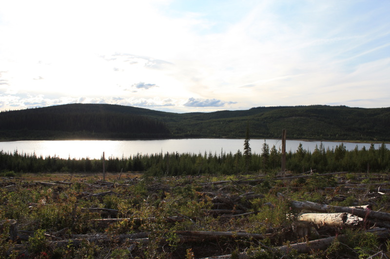 File:2008-08-23 tadpole lake.jpg