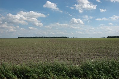 File:2008-05-31 41 -88 field.jpg