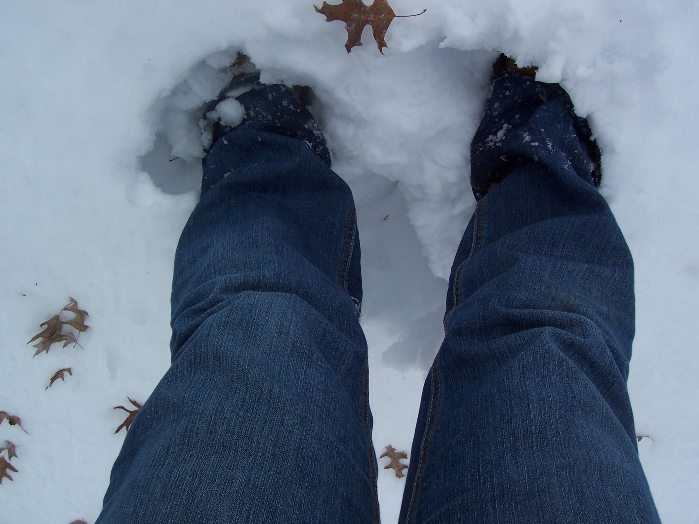 I was in knee deep snow!