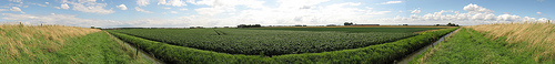 Panorama geohash 20080712 51 4.jpg