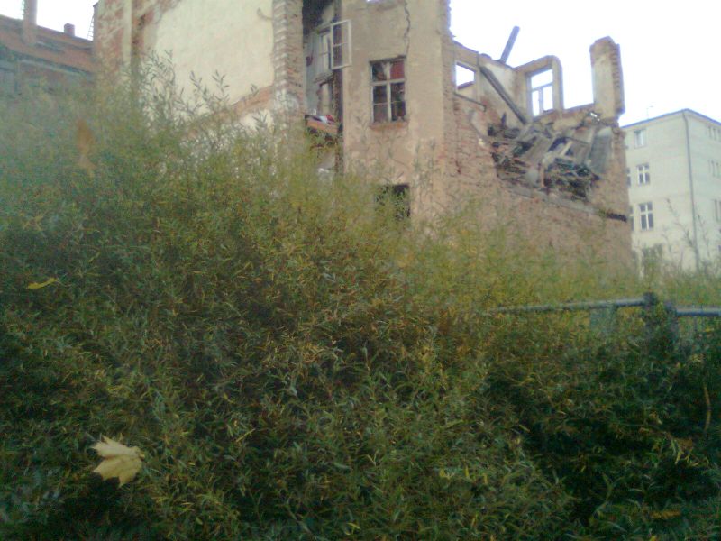File:2012 10 26 51 12 ruin.jpg