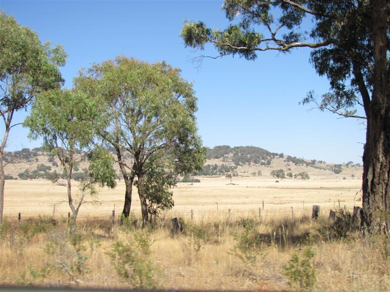 File:2010-01-30 -37 144 Dry fields, dry hills (Medium).JPG