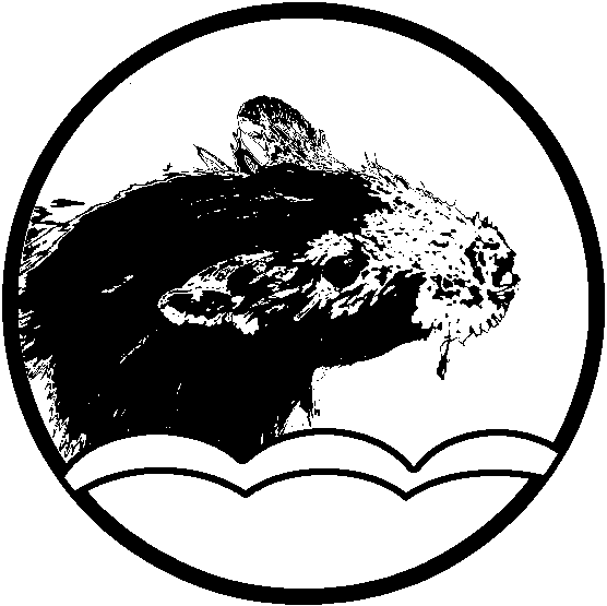 File:Drownedrat.png