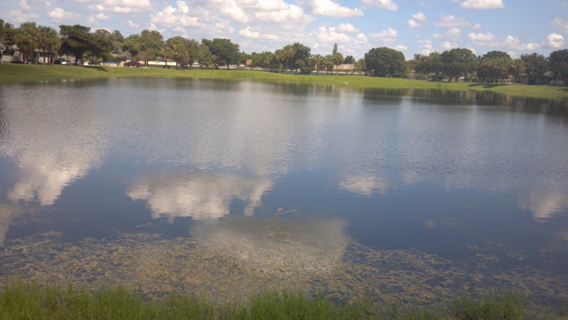 File:2011-09-16 26 -80 pond3.jpg