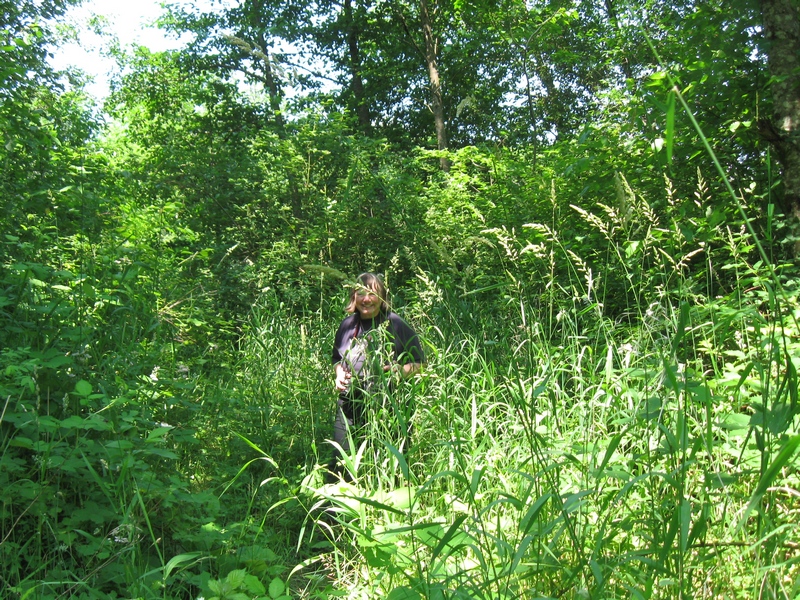 File:2012-07-04 45 -122 kate in tall grass.jpg