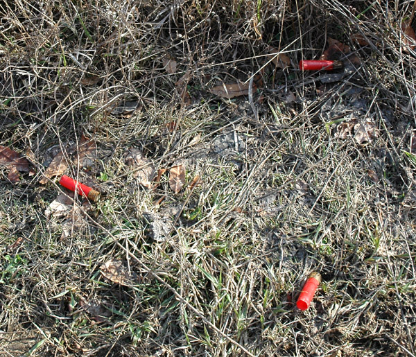 File:2009-03-14 40 -88 shotgun shells.jpg