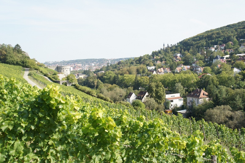 File:2011-09-24 49 9 view from the vineyards.jpg
