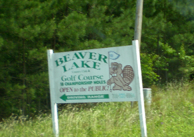 No, there were no beavers. And no lake.