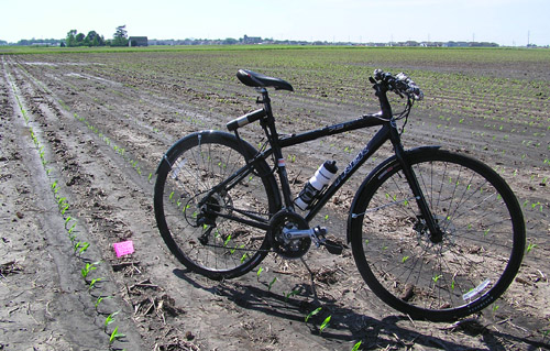 File:2008-06-08 40 -88 bike and flag.jpg