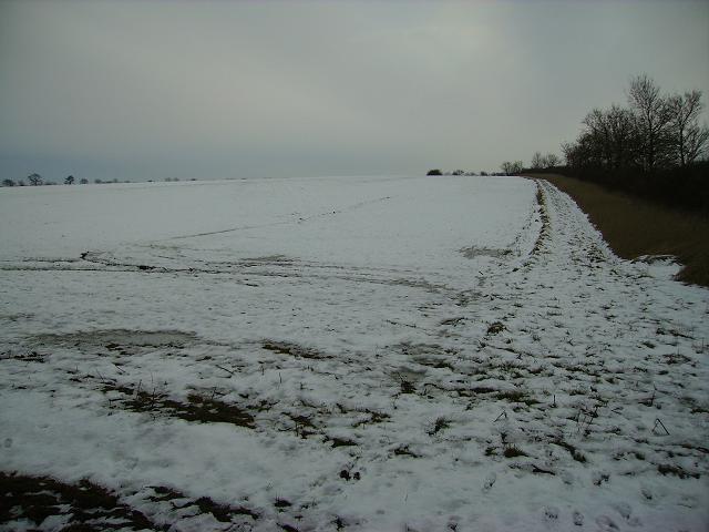 File:2009-02-04 field.jpg