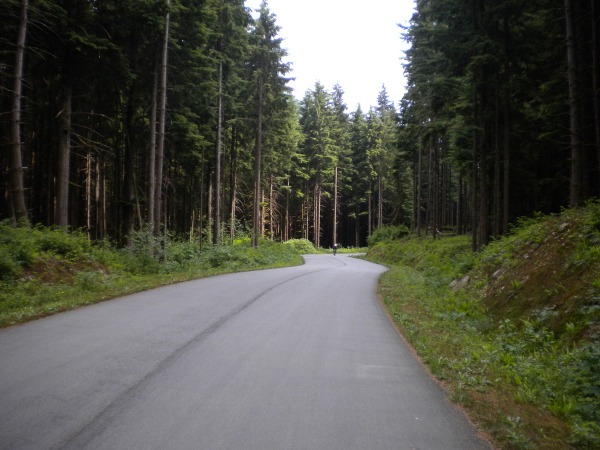 File:2009-06-07 49 -122 backBikeTrail.jpg