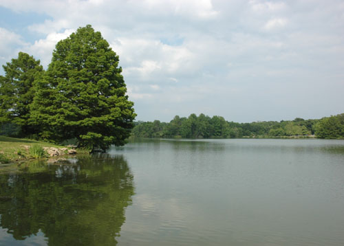 File:2008-07-04 40 -88 dawson lake.jpg