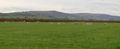 2012 03 17 51 -2 Field with sheep.jpg