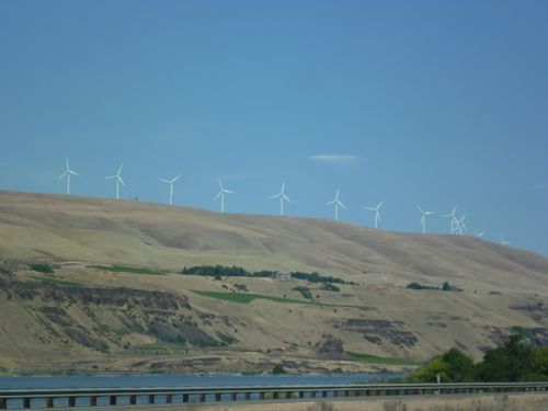 Huge windmills rise from the rim of the Columbia Gorge.