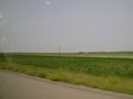 2009-08-02 49 -114 prairie.jpg