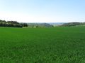 2009-05-07 48 8 Schwarzwaldblick.jpg