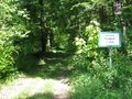 2009-05-07 48 8 Waldweg.jpg