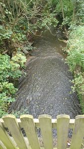 "river flowing away from camera, surrounded by shrubs and trees"