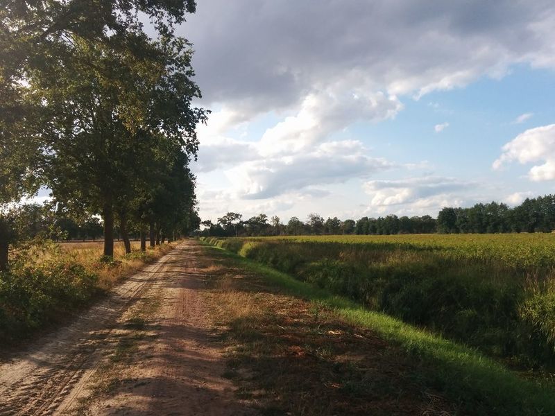 File:2018-09-01 53 11 17 Path.jpg