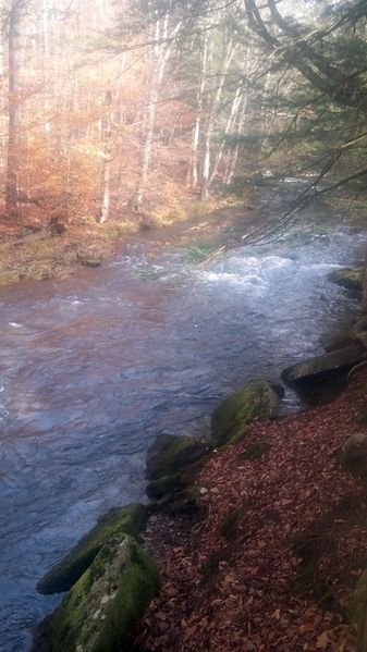 File:2017-11-04 creek.jpg