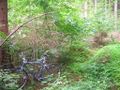 2012-06-22 Zertrin's bike in the woods.JPG