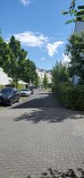 "residential road with some trees"