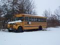 2012-01-10 40 -84 schoolbus.jpg