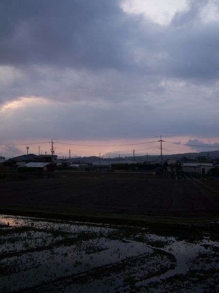 File:2012-05-29 34 135-rice fields.JPG