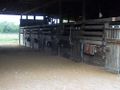 2012-08-12 30 -81 DiamondRanchStable.JPG