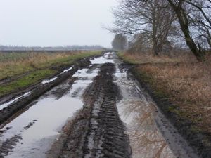 2013-02-12 52 0 wet track.jpg