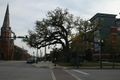 2013-03-09 30 -81 Tree.JPG