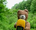 2011-05-29 45 -122 5 Bear GPS.jpg