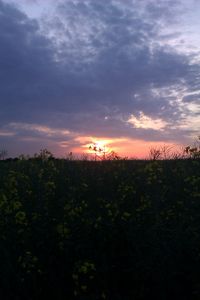 2012-05-27 51 -1 sunset.jpg