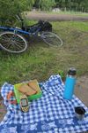2012-06-10 52 5 picknick.jpg