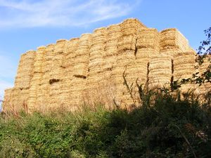 2012-09-15 52 0 hay bales.jpg