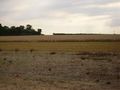 2012-08-19 52 -0 corn field.jpg