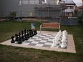 2009-09-13 49 10 chess.jpg
