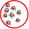 RedSpiders.PNG
